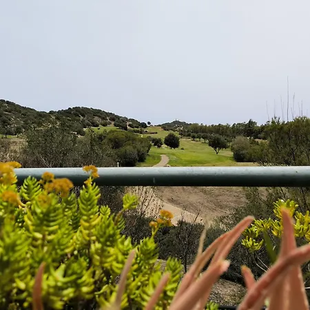 Pisano * ヴィッラシミーウス